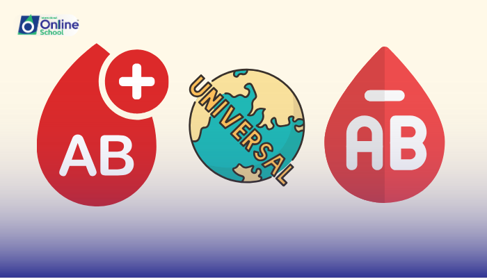 Lesson 13: Investigation of Reasons for O-negative as Universal Donor and AB-positive as Universal Recipient